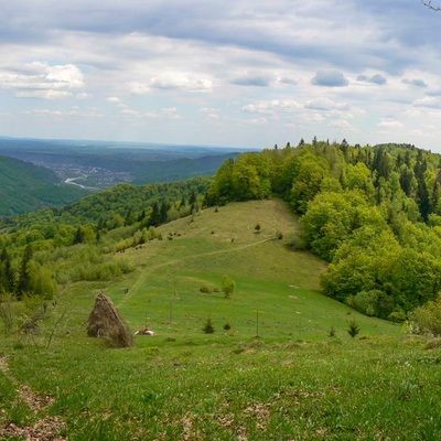 Товтро-Карпатський рейд