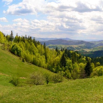 Товтро-Карпатський рейд