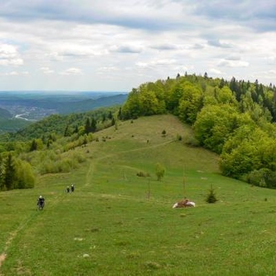 Товтро-Карпатський рейд