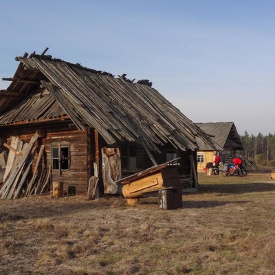 У Полісся за яблучками