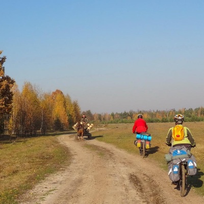 У Полісся за яблучками