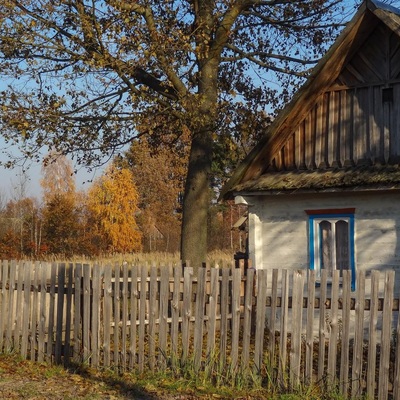 У Полісся за яблучками