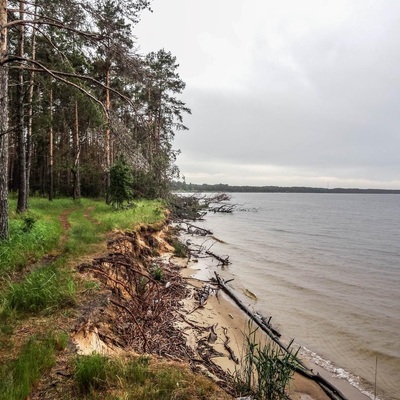 Дніпровсько-Тетерівський заповідник