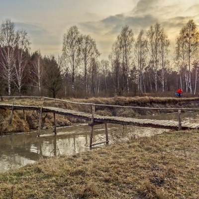 Поліська вузькоколійка