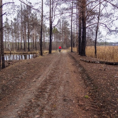 Поліська вузькоколійка