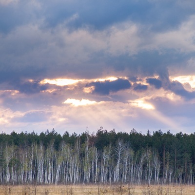 Полісся тисячі та одного броду