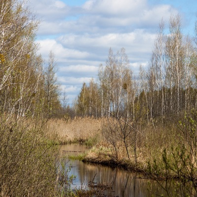 Полісся тисячі та одного броду