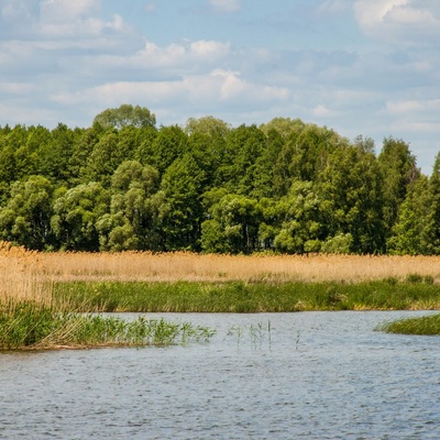 Дніпровсько-Тетерівський заповідник