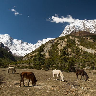 Annapurna Curcuit By bike