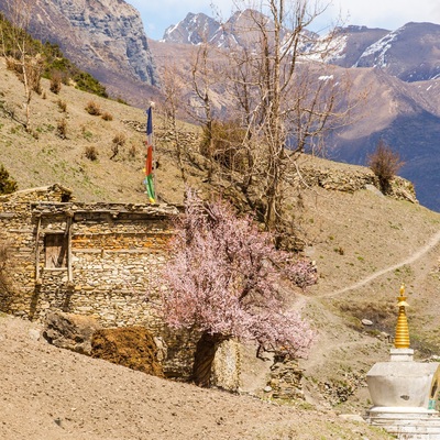 Annapurna Curcuit By bike