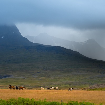 Iceland