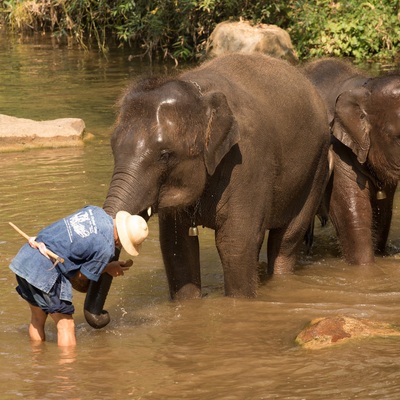 North Thailand