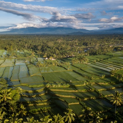 Indonesia. Bali. Ubud