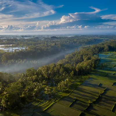 Indonesia. Bali. Ubud