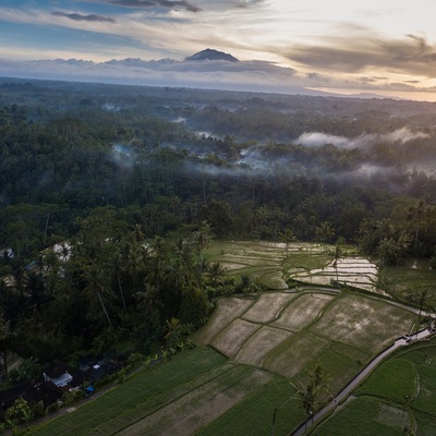 Indonesia. Bali. Ubud