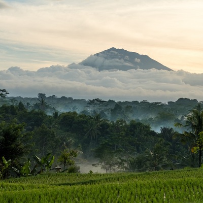 Indonesia. Bali. Ubud