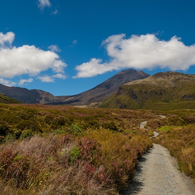 New Zealand 2018. North island