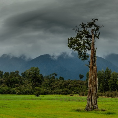 New Zealand 2018. South island