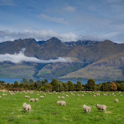 New Zealand 2018. South island