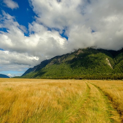 New Zealand 2018. South island