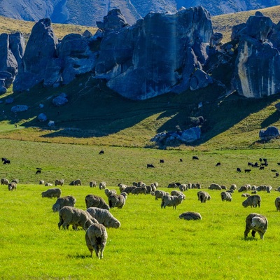 New Zealand 2018. South island