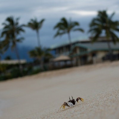 Hawaii. Oahu