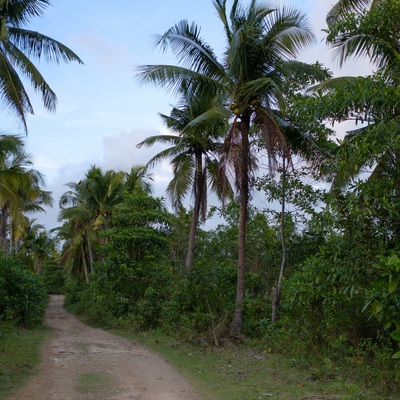 Philippines. Camotes