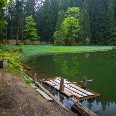 Прикордонні Карпати