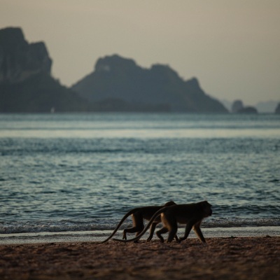 Thailand. Krabi 2013