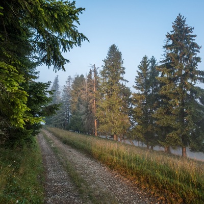 The Carpathians in August