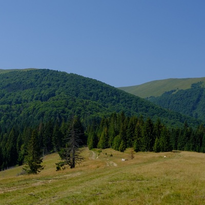 The Carpathians in August