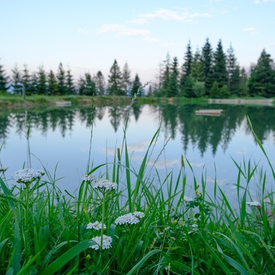 The Carpathians in August