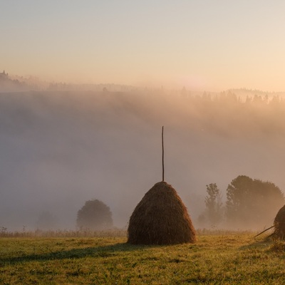 Carpathians in August