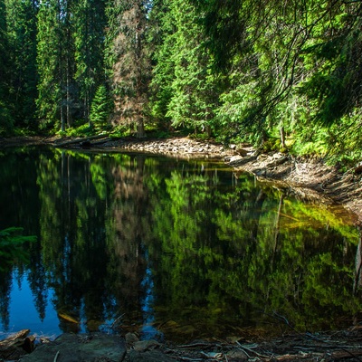 Транскарпатія