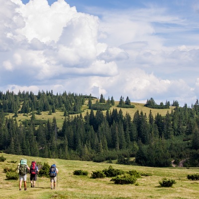 Транскарпатія