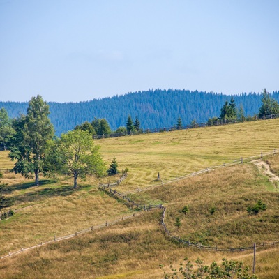 Серпнева Чорногора