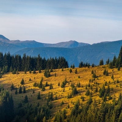 Серпнева Чорногора