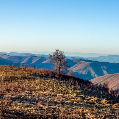 Форельна Боржава