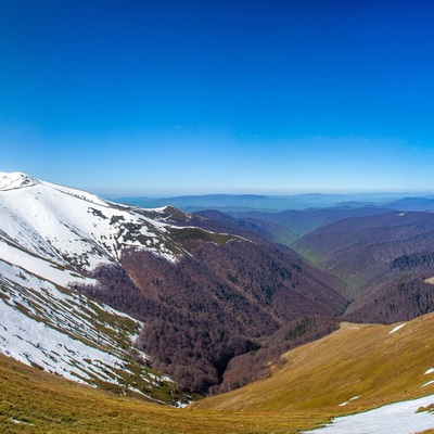 Форельна Боржава