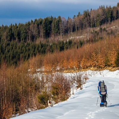 Запрутські Горгани