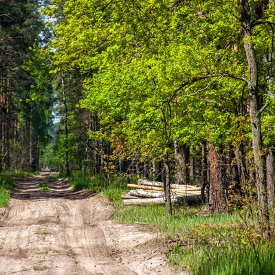 Остерський небоян чи обігнати сонечко