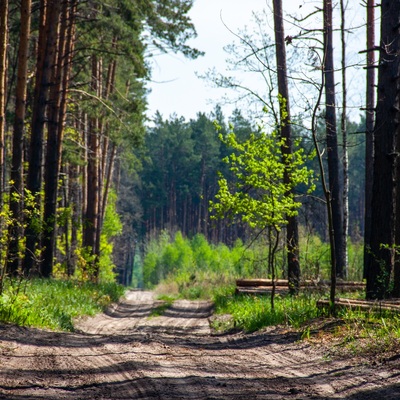 Остерський небоян чи обігнати сонечко