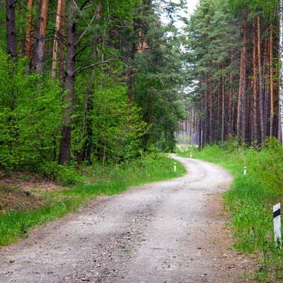 Остерський небоян чи обігнати сонечко