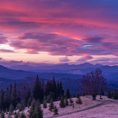 The Carpathian: Winter in Yaremche