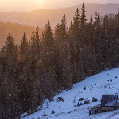 The Carpathian: Winter in Yaremche