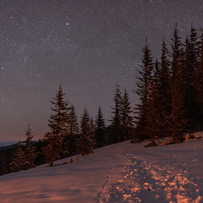 The Carpathian: Winter in Yaremche