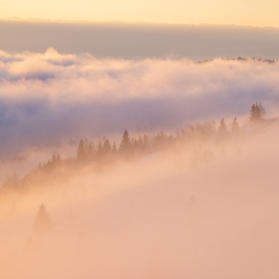 The Carpathian: Spring in Yaremche