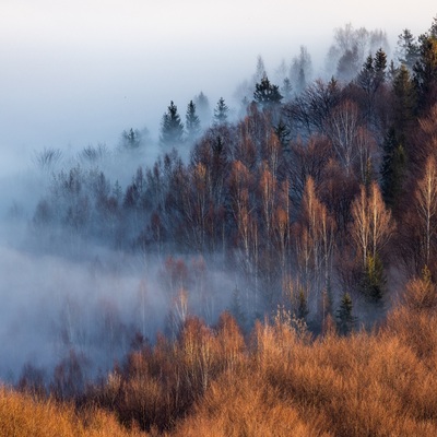 The Carpathian: Spring in Yaremche