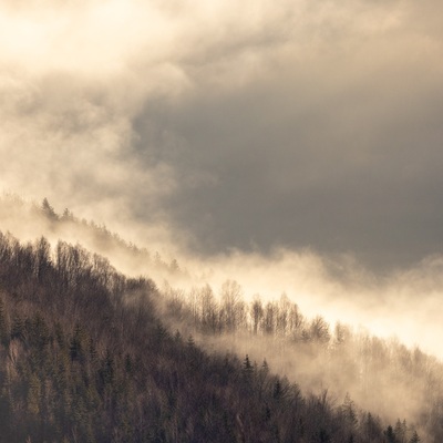 The Carpathian: Spring in Yaremche