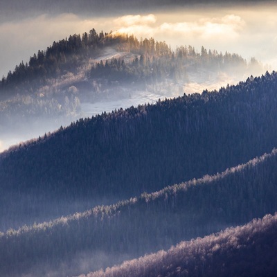 The Carpathian: Spring in Yaremche